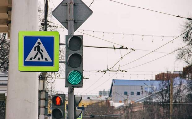 Рязанская Госавтоинспекция 14 января проводит акцию "Пешеход"