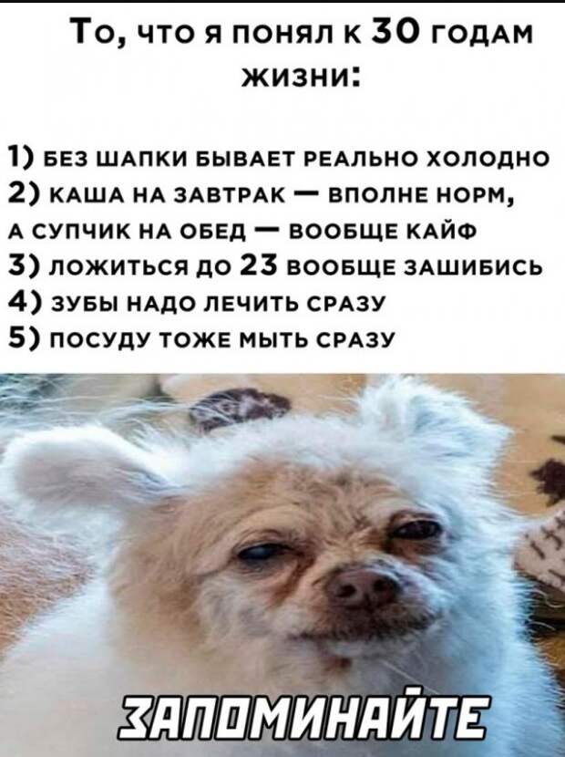 Хотите зарядиться позитивом, настроиться на веселую волну и отвлечься от повседневных забот? Тогда эта статья, посвященная приколам, картинкам и мемам, созданным для распространения радости и улыбок, идеально подойдет для вас!