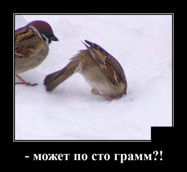 Демотиваторы 14 августа 2020