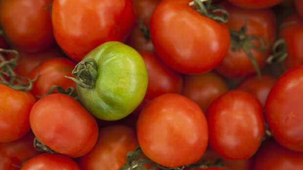 Кардиолог Соловьёва: зелень и овощи полезны для здоровья сердца