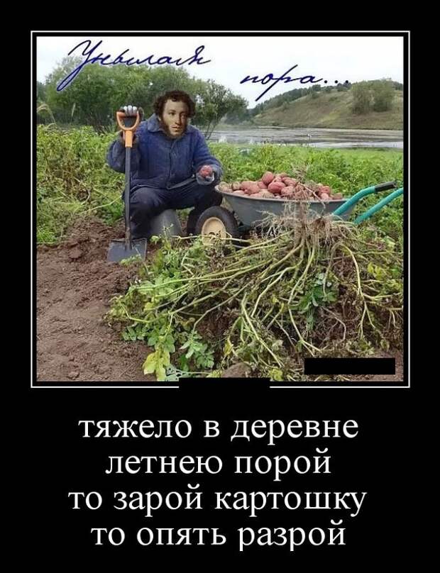 Демотиваторы (20 фото)