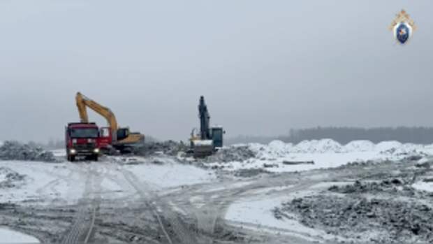 В Ленинградской области руководителям двух коммерческих организаций предъявлены обвинения в злоупотреблении полномочиями, нарушении правил обращения отходов на территории карьера и мошенничестве в особо крупном...