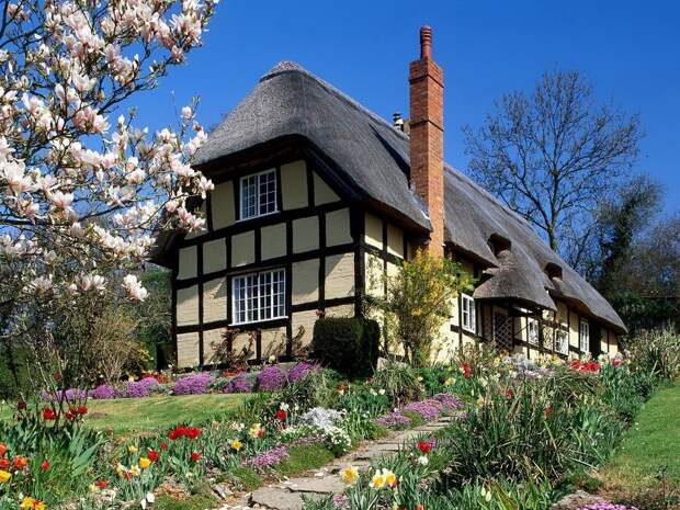 Сказочное графство Девоншир thatch53 Сказочное графство Девоншир