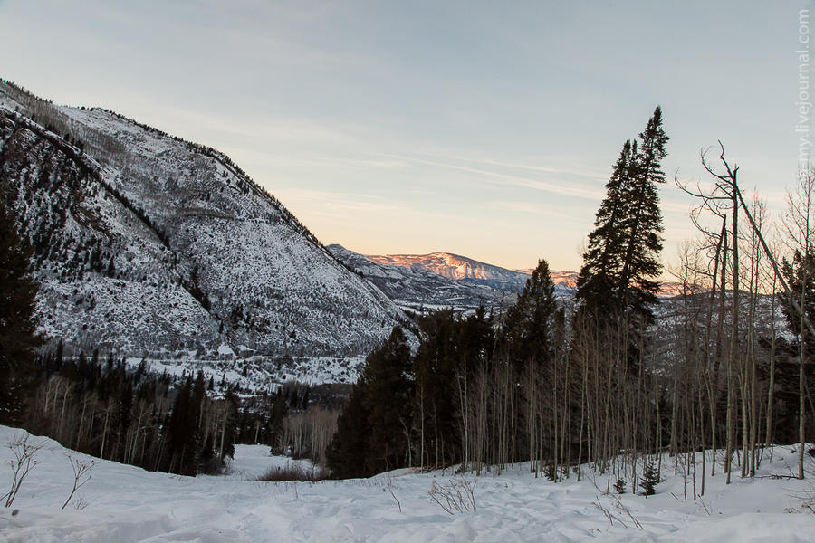 Ездовые собаки на горнолыжном курорте Aspen Snowmass