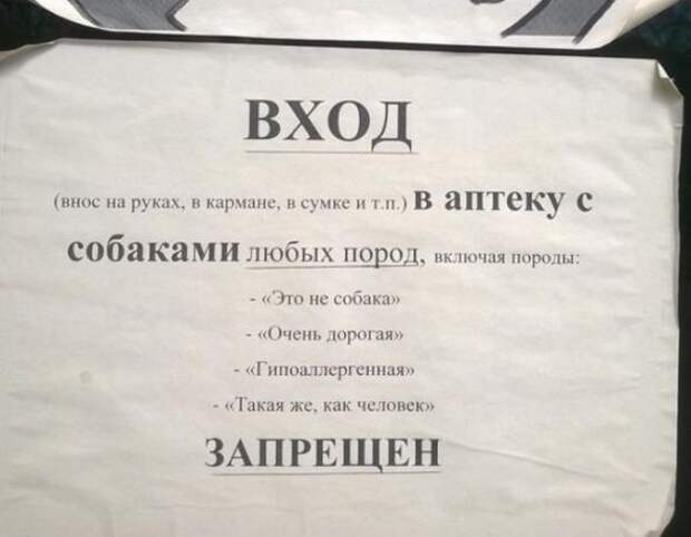 Объявления, мимо которых невозможно пройти.