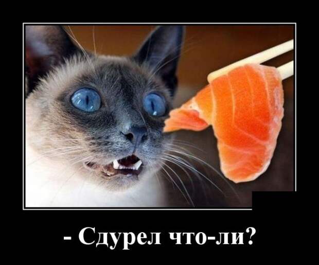 Демотиваторы (30 фото)