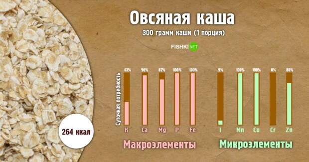 Овсяная каша инфографика, каша, полезности, польза