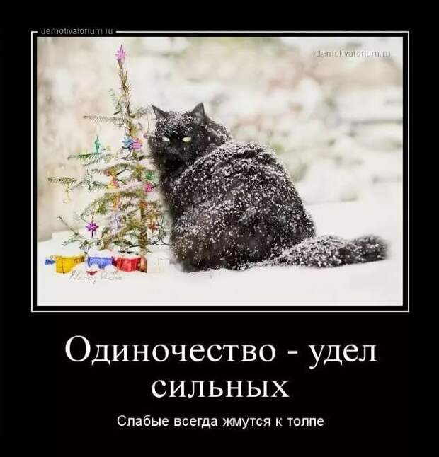Прикольные демотиваторы с надписями. Подборка chert-poberi-dem-chert-poberi-dem-21290913072020-17 картинка chert-poberi-dem-21290913072020-17