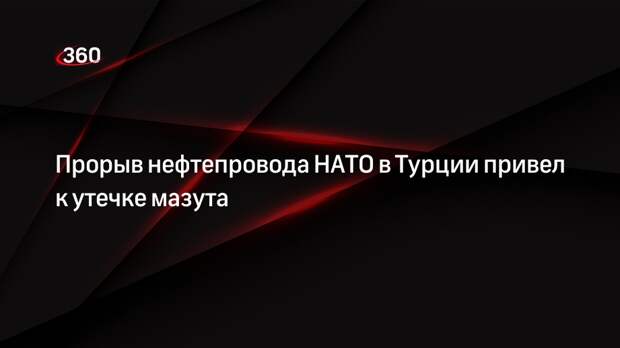 Milliyet: озеро в Турции покрыла мазутная пленка из-за прорыва нефтепровода НАТО