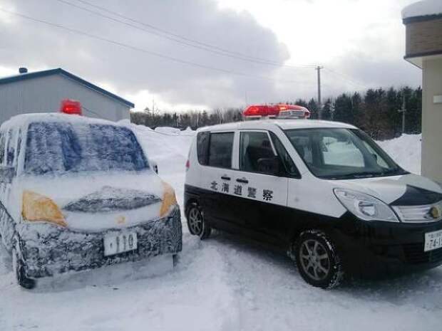 Подборка автоприколов