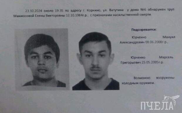 После убийства 40-летней таксистки под Челябинском возбудили уголовное дело  | Pchela.news - Новости в Челябинске