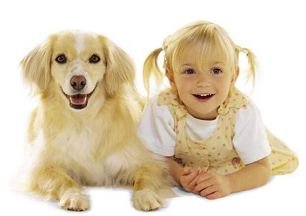Маленькие дети способны понимать собак " Лучшие программы для Windows, новости, статьи