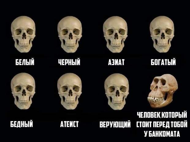 Картинки с надписями мем, прикол, юмор