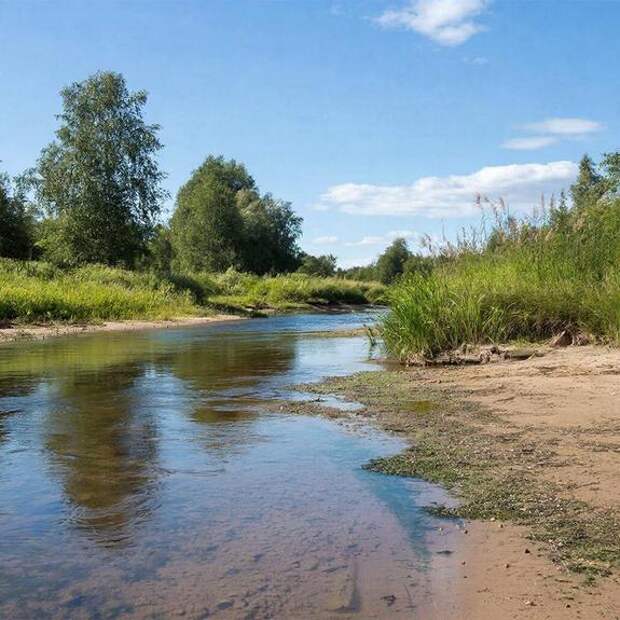 В Вологодской области журналист ушёл из дома без телефона и пропал: его нашли мёртвым в реке