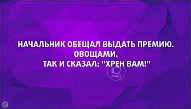Разноцветные забавные открытки 4