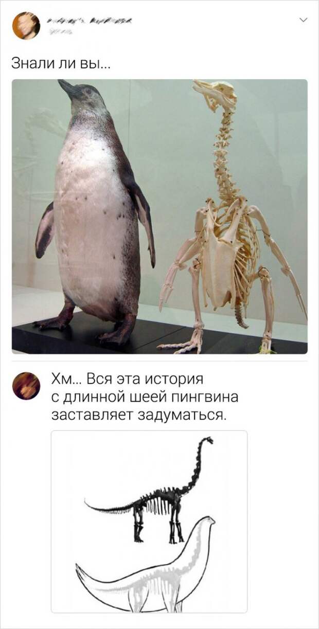 www.vsyako.net