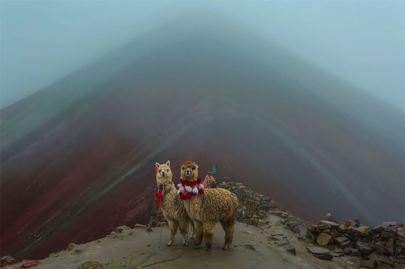 Великолепные работы победителей тревел-фотоконкурса National Geographic 2019