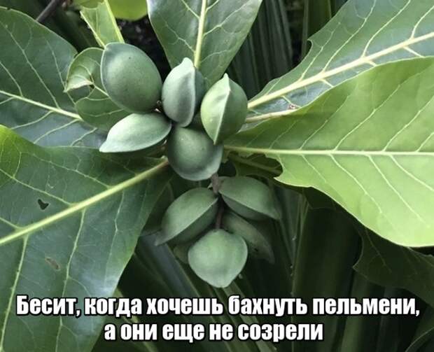 Подборка картинок. Вечерний выпуск (20 фото)
