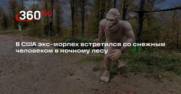 В США экс-морпех встретился со снежным человеком в ночному лесу