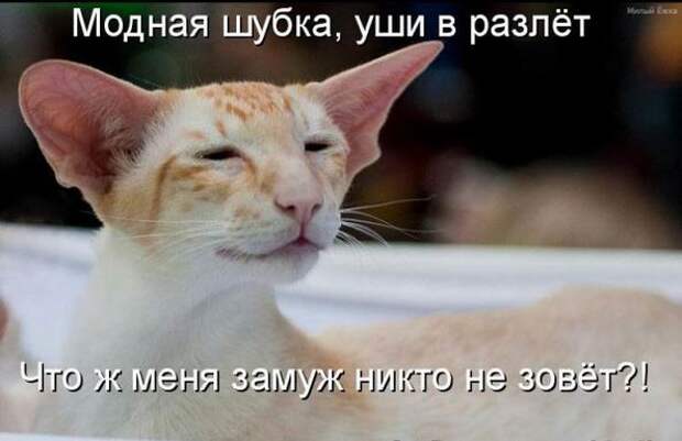 Мысли вслух :)