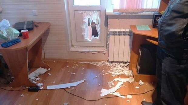 Для любви нет преград животные, собака