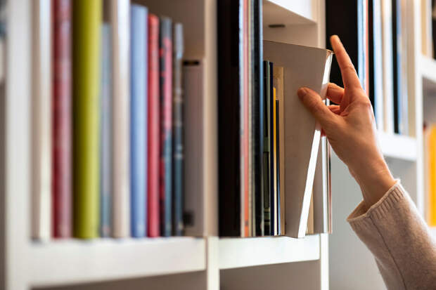 В ГД выступили против изъятия из библиотек классики, купленной на деньги Сороса