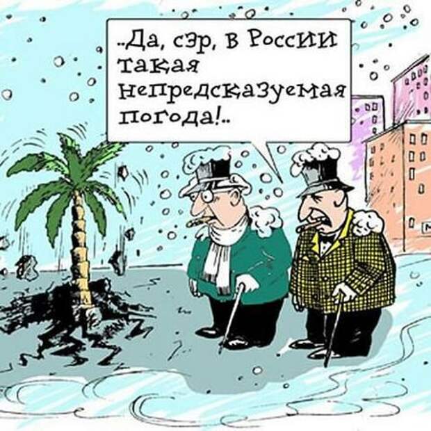 Прекрасная погода картинки прикольные