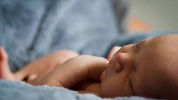 Аргентинская банда «Лос Монос» пыталась продать новорожденного ребенка россиянки