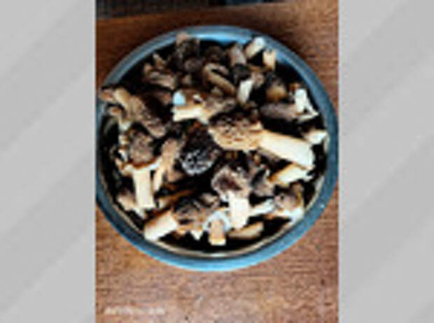 Фото: Дядя Федор / vk.com/gribniki22rus