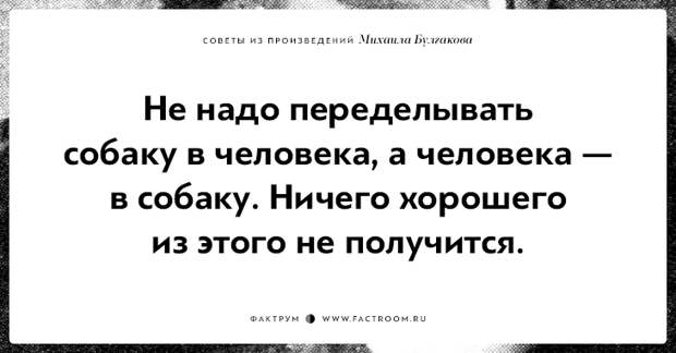 10 замечательных советов из произведений Михаила Булгакова
