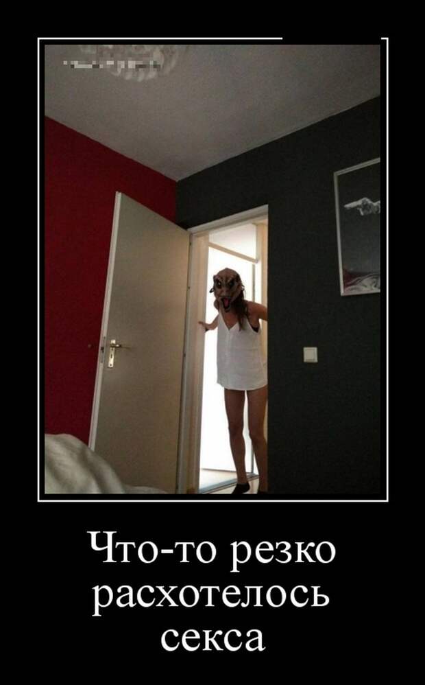 Демотиваторы (30 фото)