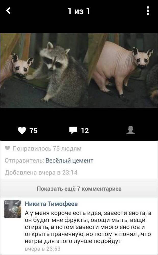 12.  картинки, комментарии, надписи, прикол, соц сети, юмор