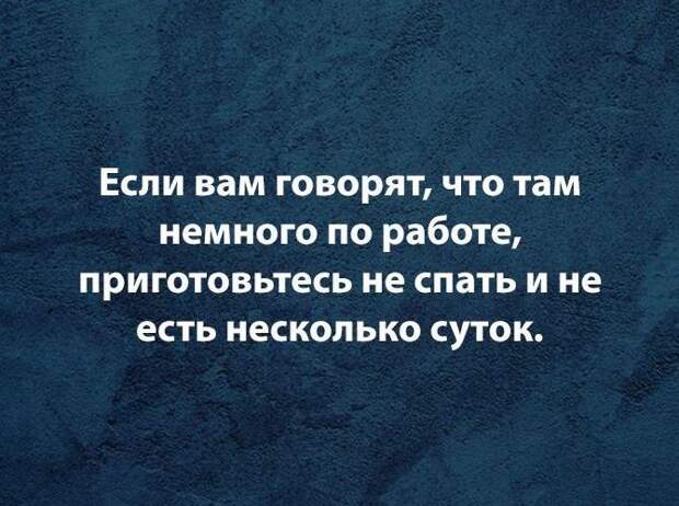 Смешные фразы и шутки про работу на картинках