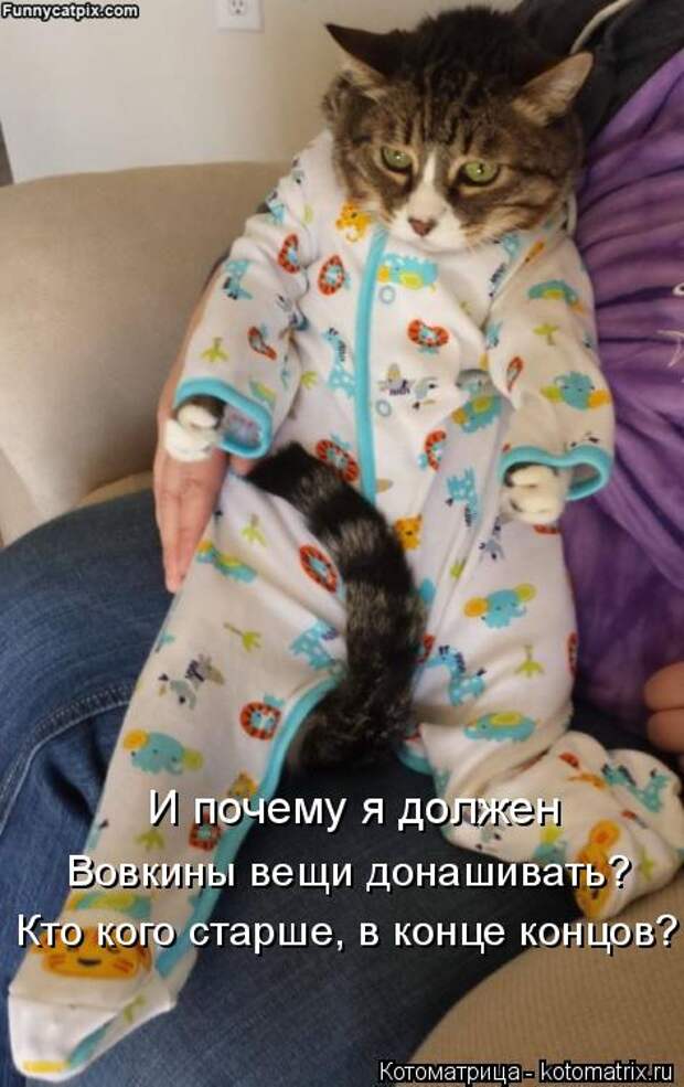 Котоматрица: И почему я должен  Кто кого старше, в конце концов? Вовкины вещи донашивать?