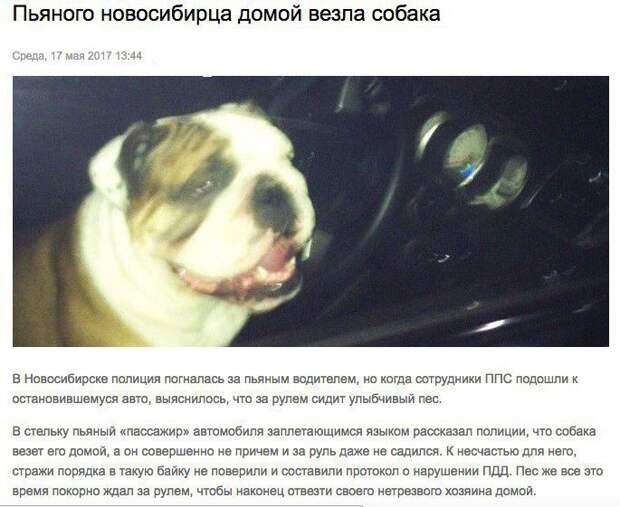 Прикольные картинки с надписями для веселья (11 фото) Прикольные картинки с надписями для веселья (11 фото)