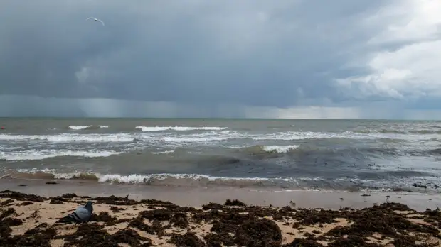 Морские туры в Сиретоко оказались коварными из-за быстрых морских течений