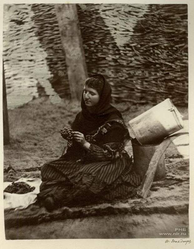 33 Казачка, перебирающая виноград. Цымлянская станица. 1875-1876