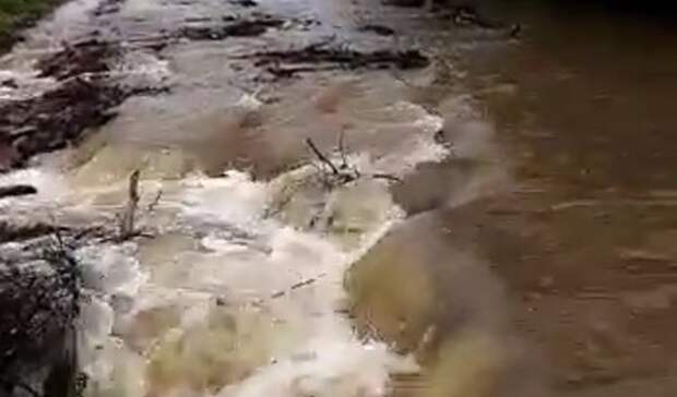 Официально: по каким дорогам Приморья теперь не проехать