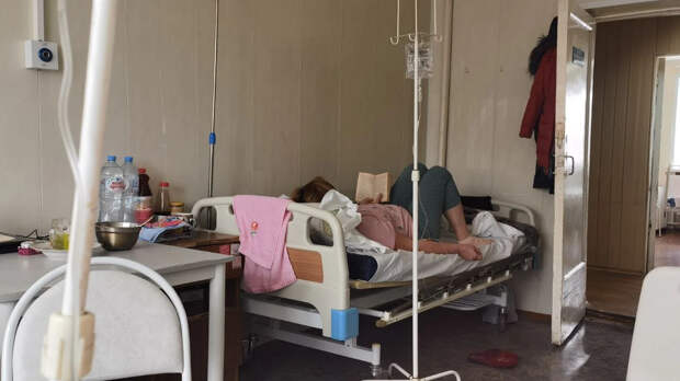 Оспа обезьян уже в России: Способен ли новый вирус стать причиной пандемии