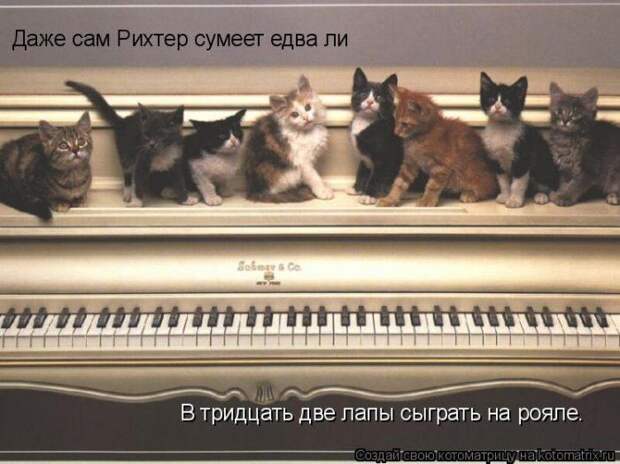 Мысли вслух :)