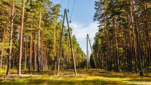 Ходить под Л-образным столбом было опасно, и это превратилось в примету. /Фото: sport24.ru