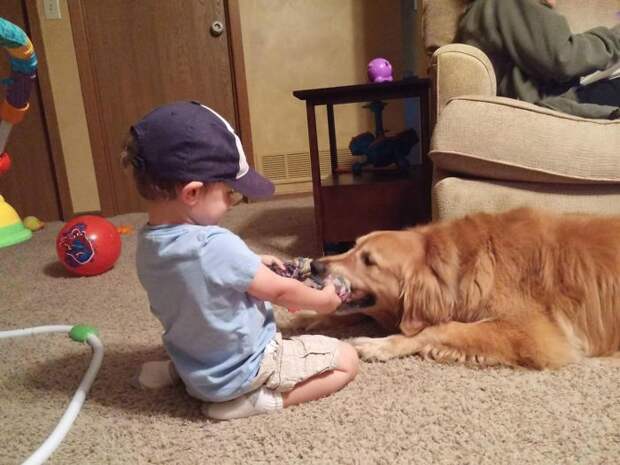 Rowdy Could Easily Drag My 2 Year Old Around The Room. Instead, He Just Laid There With A Smile On His Face, Tugging At The Rope While My Son Squealed With Glee