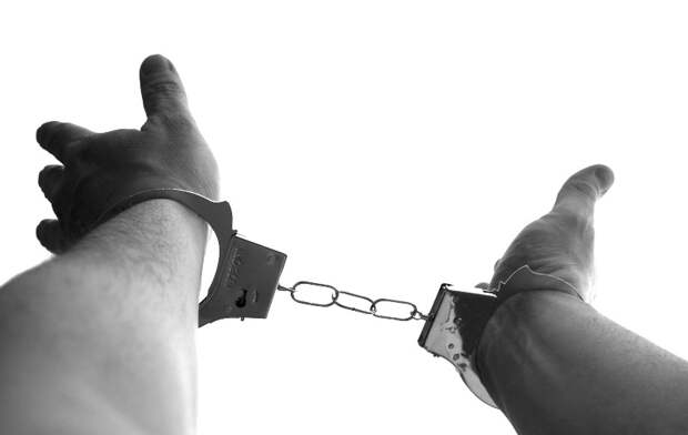 Полицейские севера Москвы задержали подозреваемого в краже