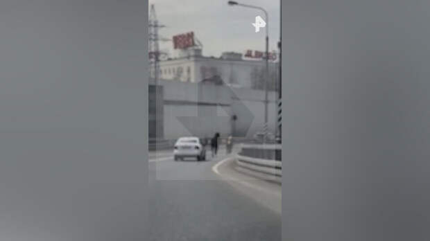 Две лошади пронеслись галопом по МКАД