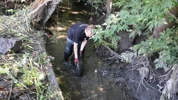 Фото: пресс-служба мэрии Барнаула
