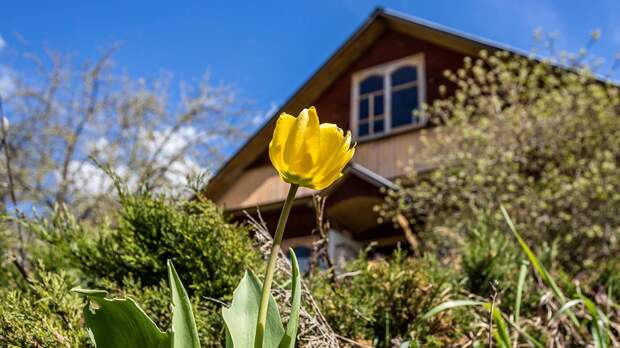 Выходные с пользой: что нужно успеть сделать на даче за майские праздники