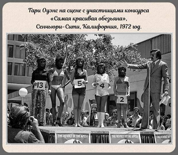 Фотографии прошлого, на которых история кажется ещё интересней