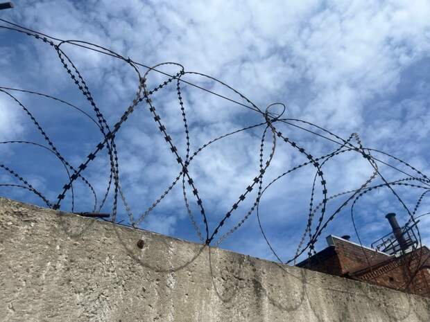 В Петербурге мужчина отправился в колонию за невыплаченные алименты