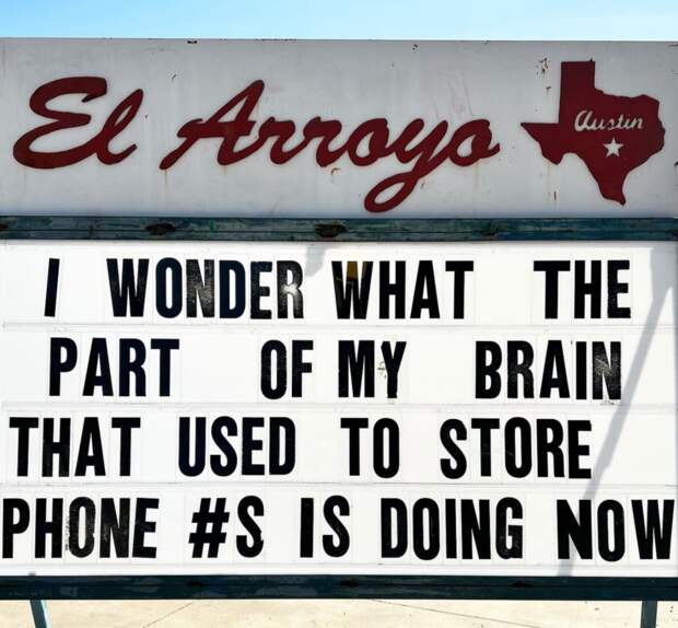 50 funny memes for millennials today