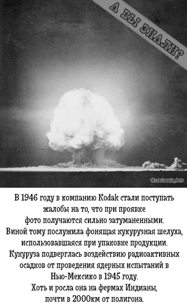 интересные факты